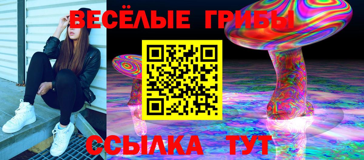 Галлюциногенные грибы Psilocybine cubensis Югорск